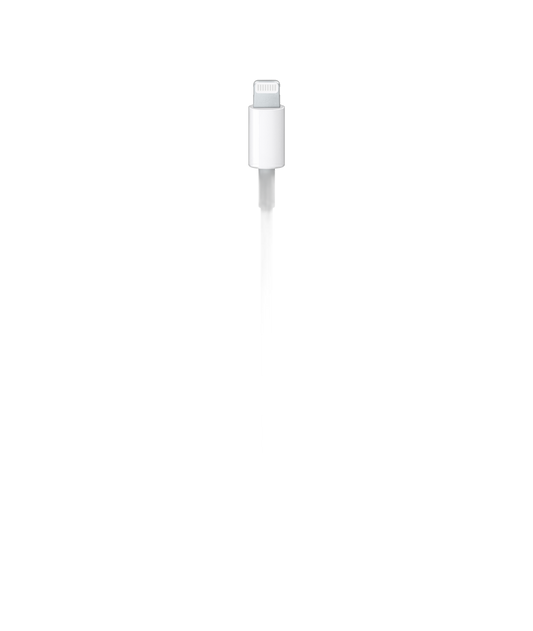 Apple USB-C to Lightning Cable Detail