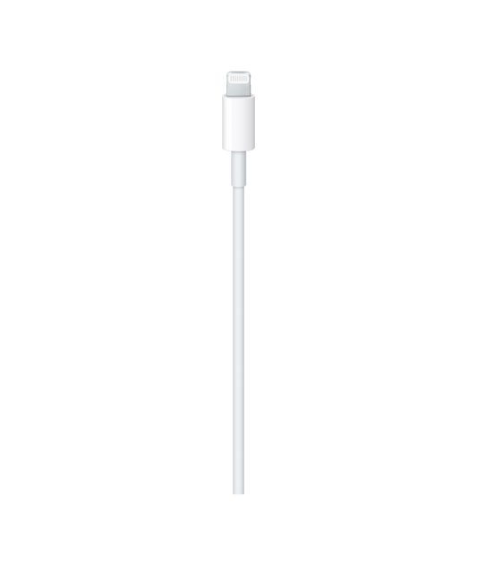 Apple USB-C to Lightning Cable Detail