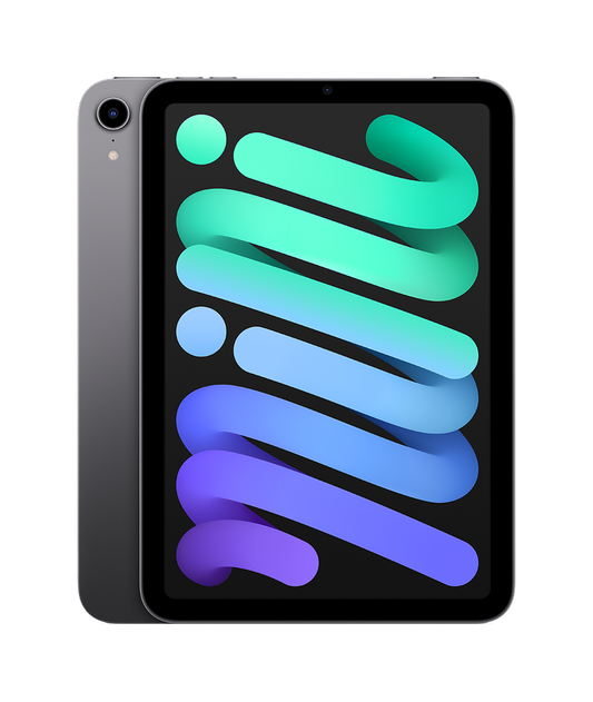 Apple iPad mini 4 - Space Gray